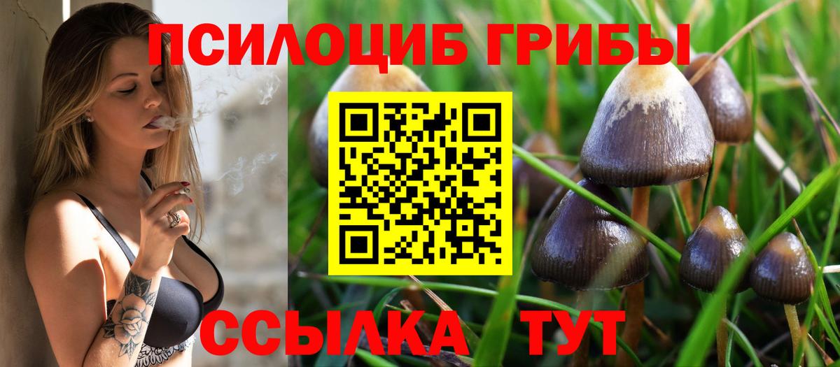 Псилоцибиновые грибы GOLDEN TEACHER Урай
